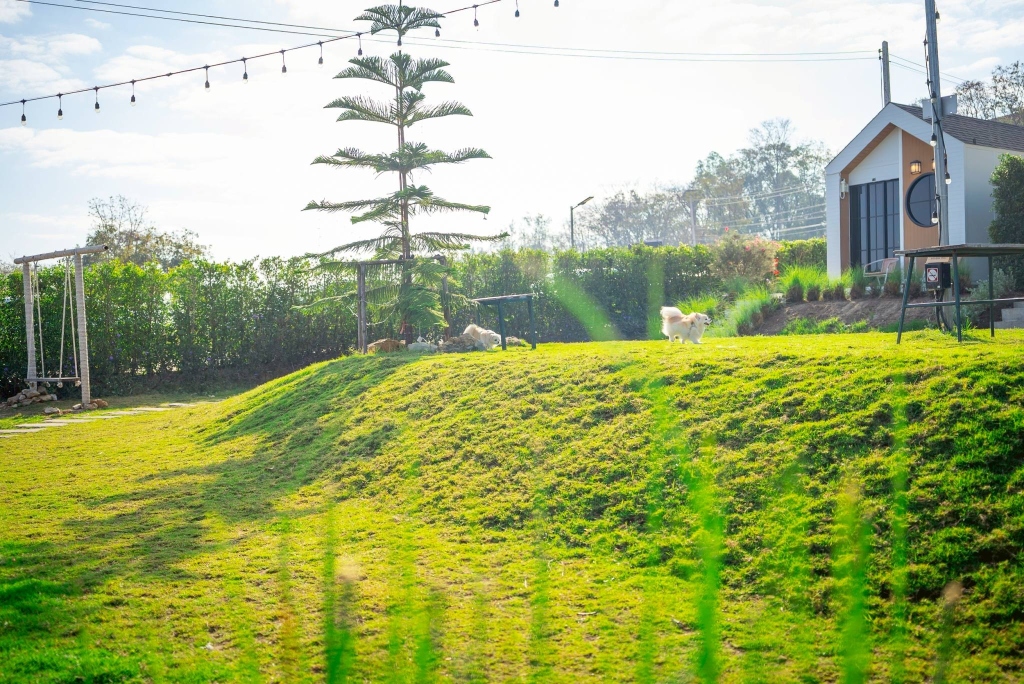 บรรยากาศสวน